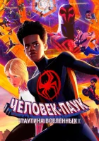 Человек-паук: Через вселенные 2 (2023) смотреть онлайн в HD