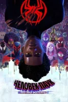 Человек-паук: Через вселенные 2 (2023) смотреть онлайн в HD